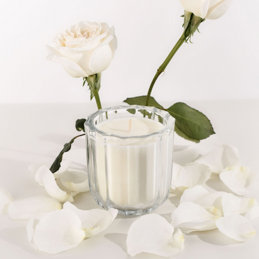 Bloom ~ Japanese Honeysuckle | Candle