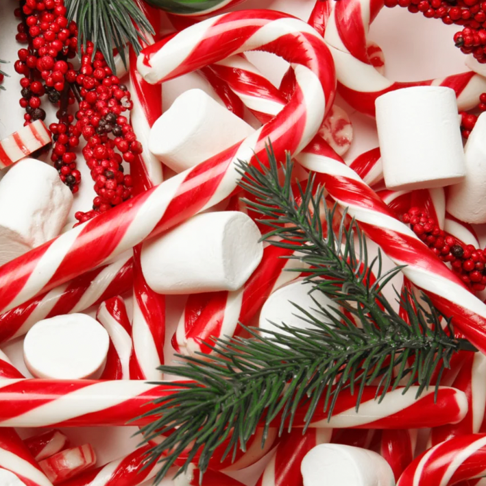 Tis the Season | Clamshell Wax Melts