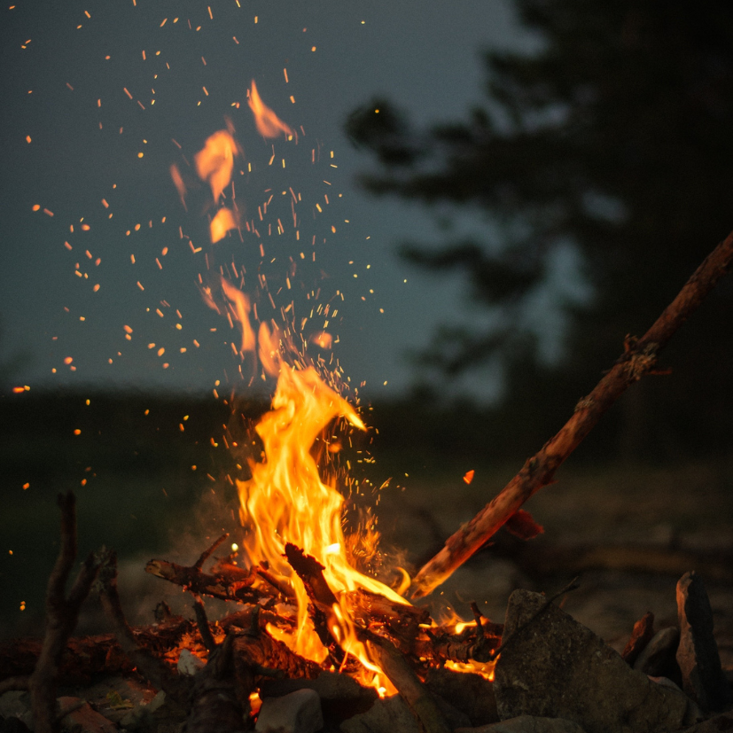 Ember & Ashes | Reed Diffuser