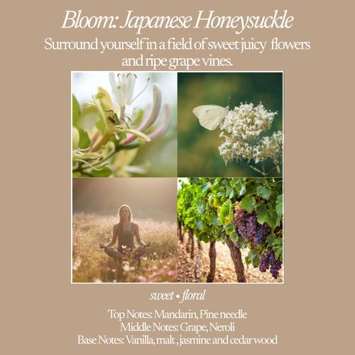 Bloom ~ Japanese Honeysuckle | Candle