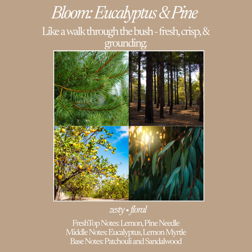Bloom ~ Eucalyptus & Pine | Candle