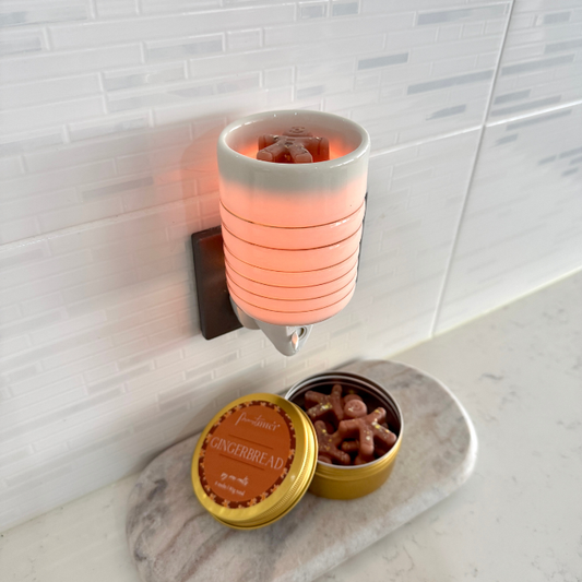 Plug In Melt Burner