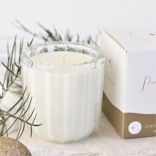 Frosted Pine | Candle